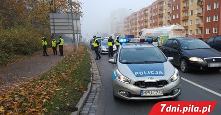 Dziki w centrum Piły