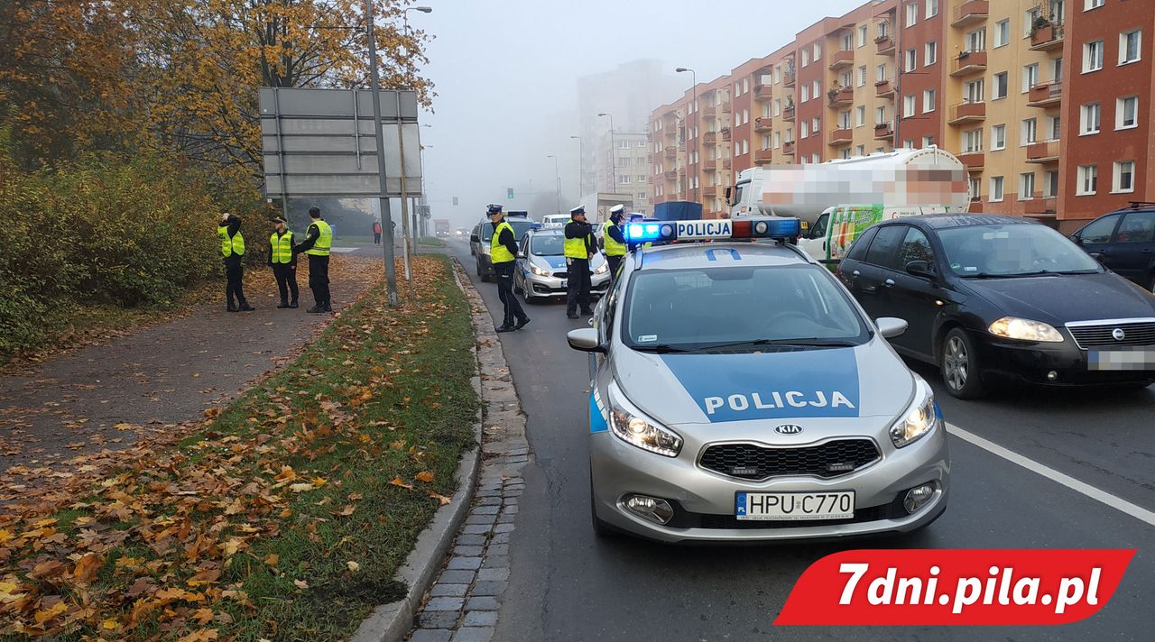 Dziki w centrum Piły