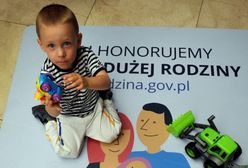 Duże rodziny zrobią tańsze zakupy w Lidlu. Na start - przybory szkolne ze zniżką