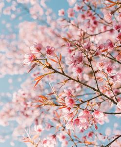 Prognoza Pogody na dziś – sobota 23 marca. Sprawdź, jaka będzie dziś pogoda w największych miastach w Polsce