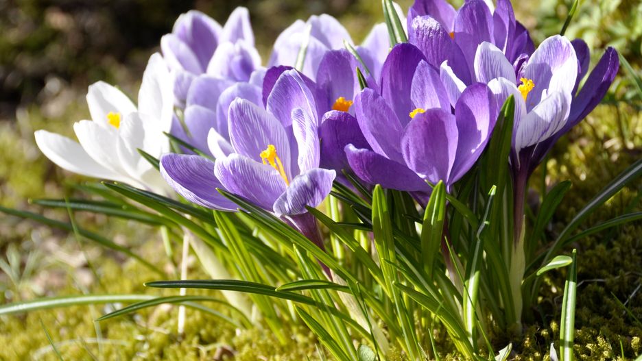 Prognoza pogody na dziś - czwartek 7 marca. Prognoza pogody dla największych miast w Polsce.