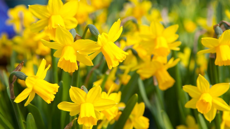 Prognoza pogody na dziś - piątek 22 marca. Jaka będzie dziś pogoda w Warszawie, Krakowie, Wrocławiu i Gdańsku.