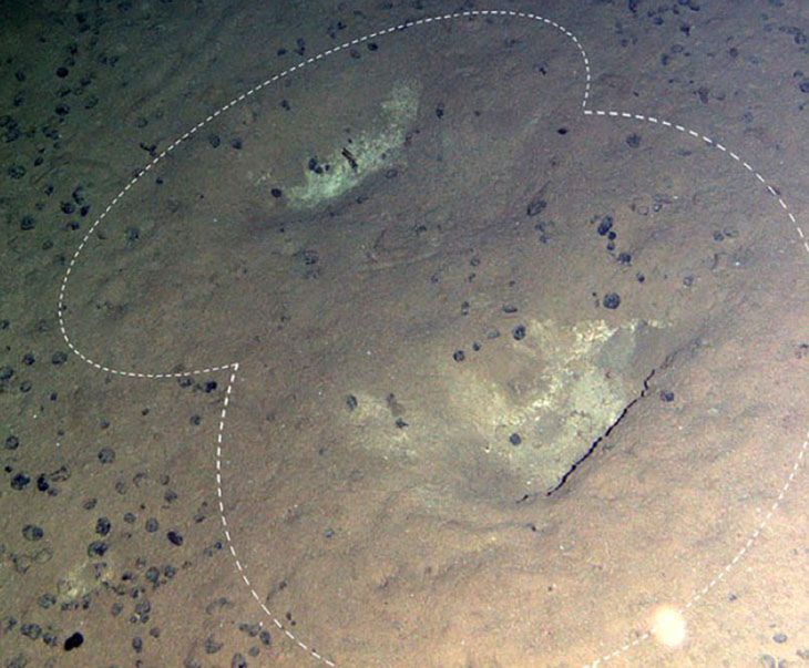 Dziwne dziury na dnie oceanu. Naukowcy nie wiedzą, jak powstały
