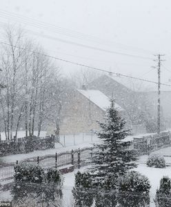 IMGW wydaje ostrzeżenia. Czeka nas silny wiatr, niskie temperatury i intensywne opady śniegu