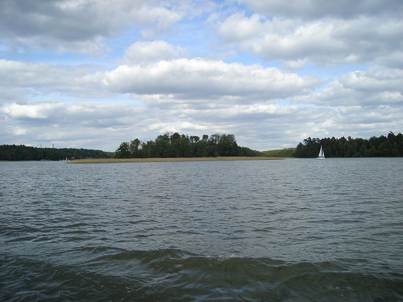 Obraz