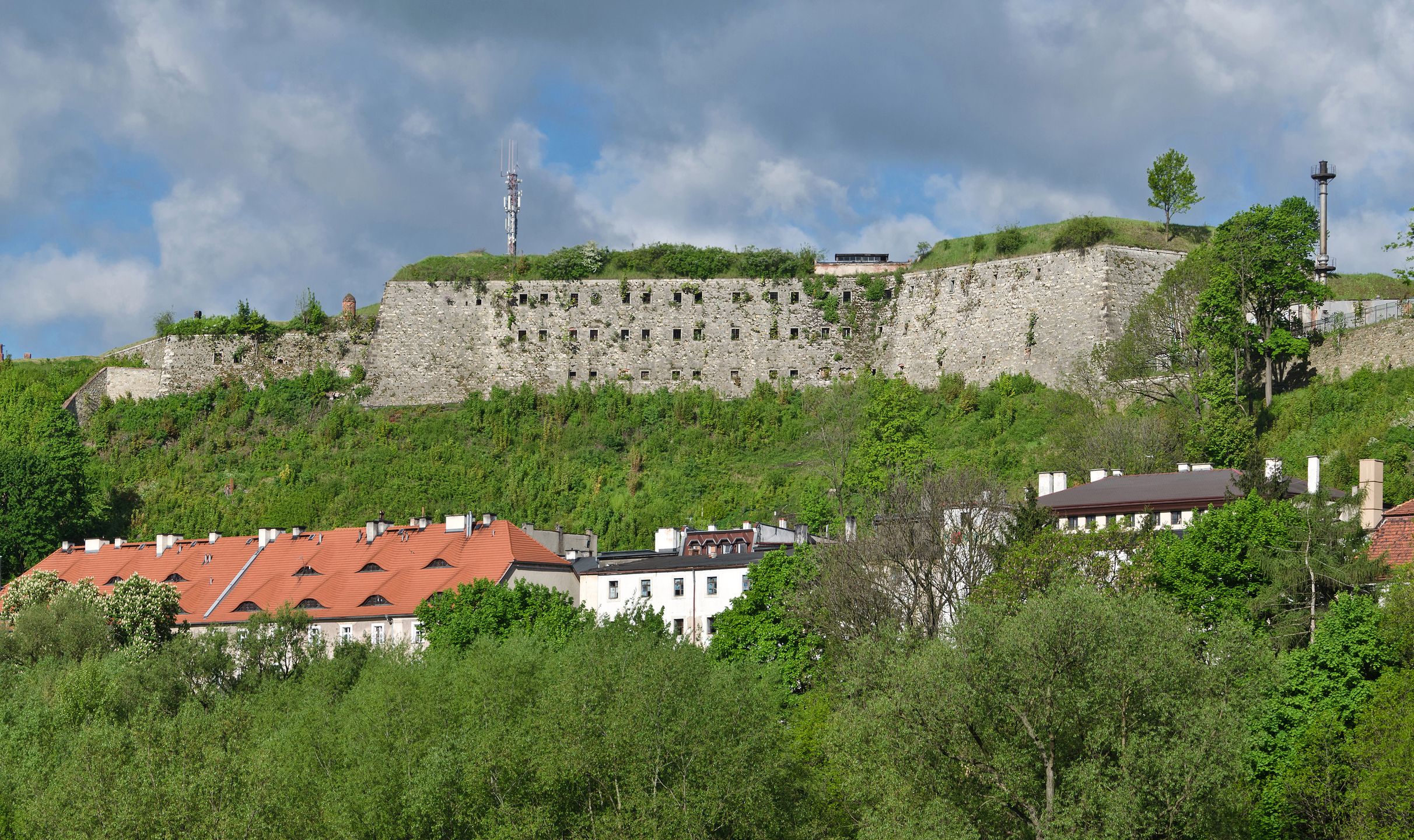 Obraz