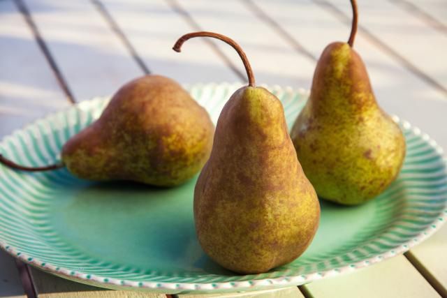 Bosc pears on plate outdoors