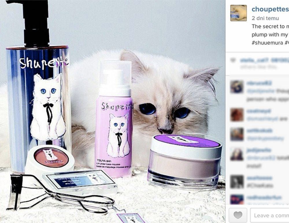 Choupette
Fotografia: screen z Instagram.com
