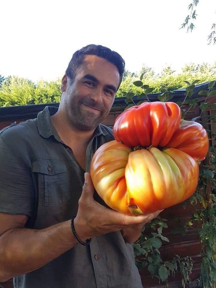 Giant Veg/fb