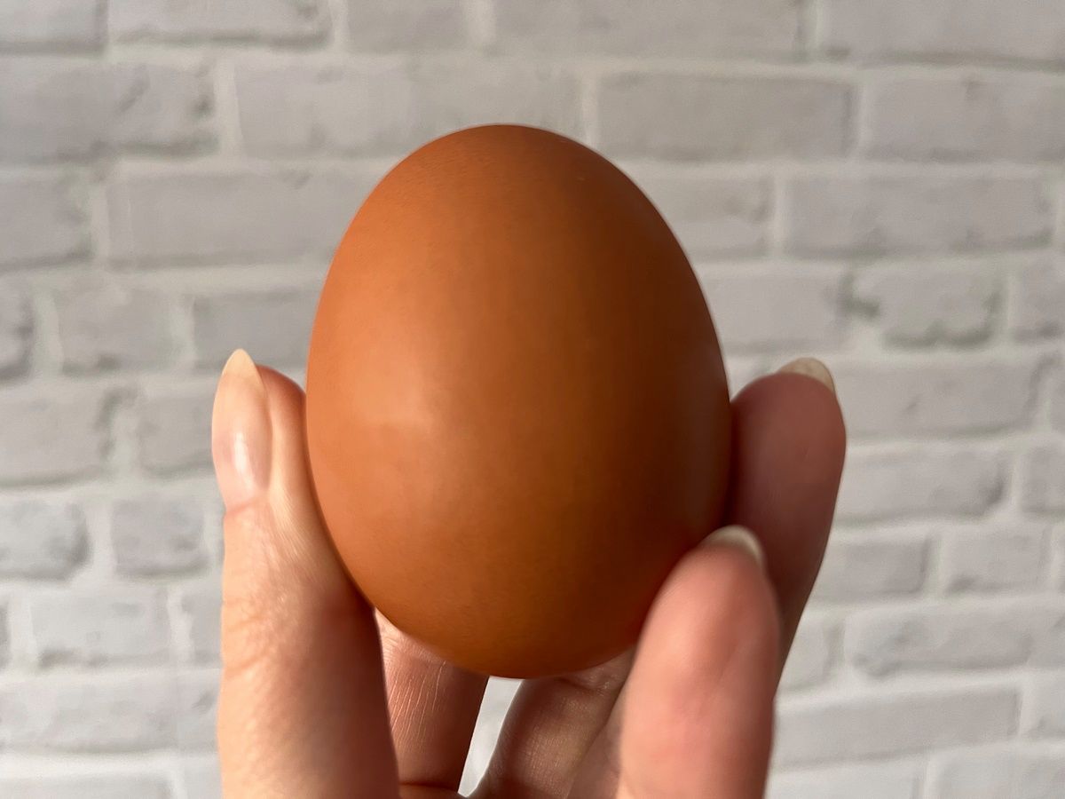 Czy kolor jajka w supermarkecie ma znaczenie? Fot. Genialne.pl