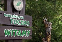 Szyszko pokazał, co znajduje się w słynnej stodole. I przeprowadził dowód logiczny ws. drewna, które wcale się nam nie kończy