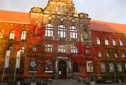 Wrocław: nie będzie obchodów Chińskiego Nowego Roku w muzeum, powodem jest koronawirus