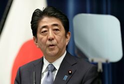 Skuteczna zagrywka premiera Japonii. "Skalkulowany hazard"