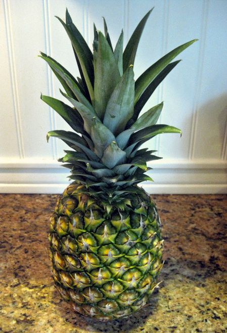 How to Grow a Pineapple