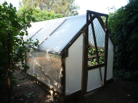 5 Euro Pallet Wood Greenhouse