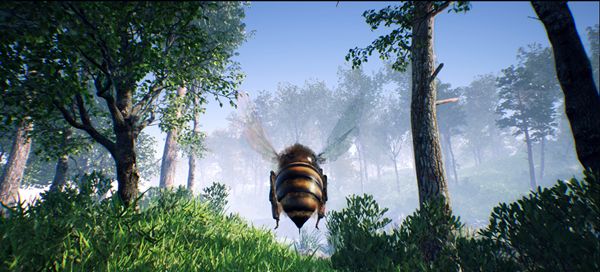 Fragment "Bee Simulator". 