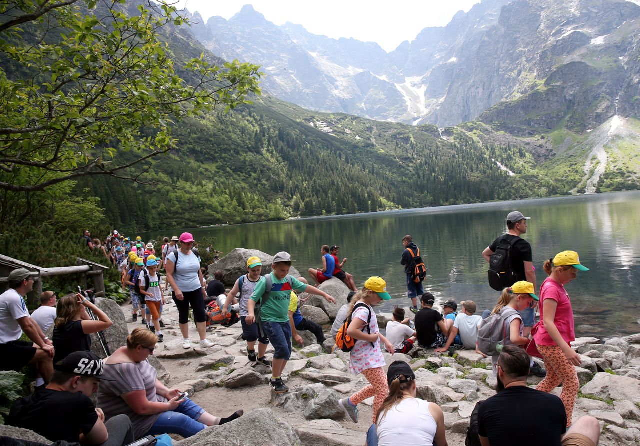 Tatry. Jeleń wśród turystów. Spacerował nad Morskim Okiem