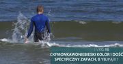 Sinice w Bałtyku, kąpieliska zamknięte. Nie lekceważmy ostrzeżeń