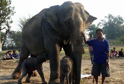 Jak dwie krople wody