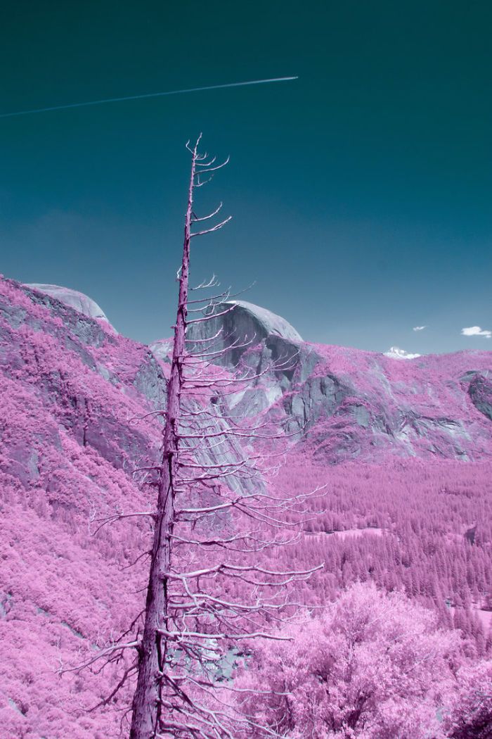 Park narodowy Yosemite wygląda w podczerwieni jak cukierkowa kraina bajek 12