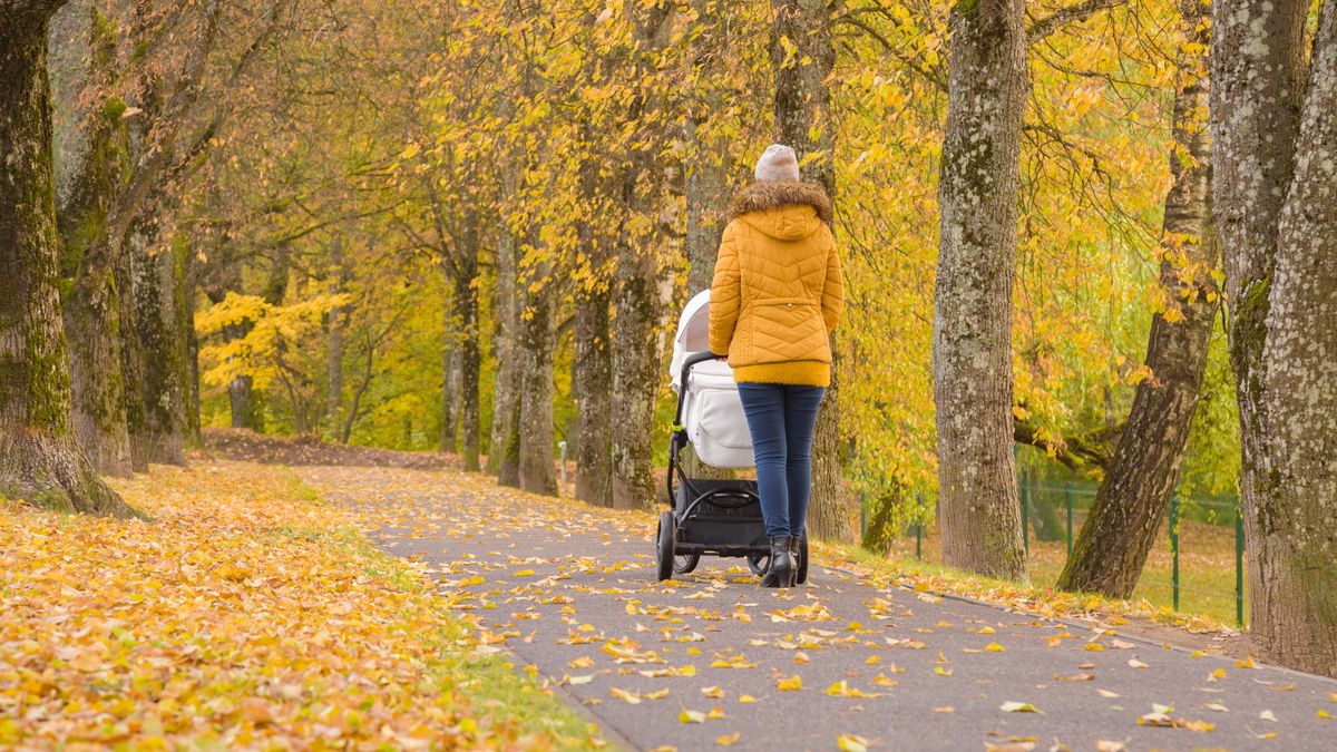 Eksperci zwracają uwagę na niejednoznaczność przepisów. Skutkiem są sprawy w sądach. 
