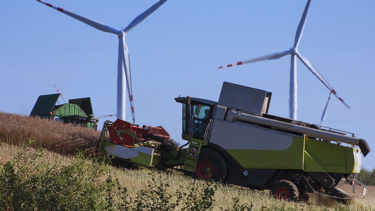 kombajny, kombajn, Żniwa, rzepak, polu, pole, lato, marzyny, rolnicze, praca, natura, rolinicza, rolniczy, rolnictwo, biznes, robota, jazda, kombajnem, kombajnie, maszynie, rolniczej, maszyna, rolnicza, kirowanie, farma, wiatrowa, naturalne, ekologia, ekologiczny