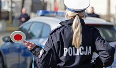 Nie warto ryzykować. Uniknij kary za brak OC i zyskaj pakiet korzyści w LINK4