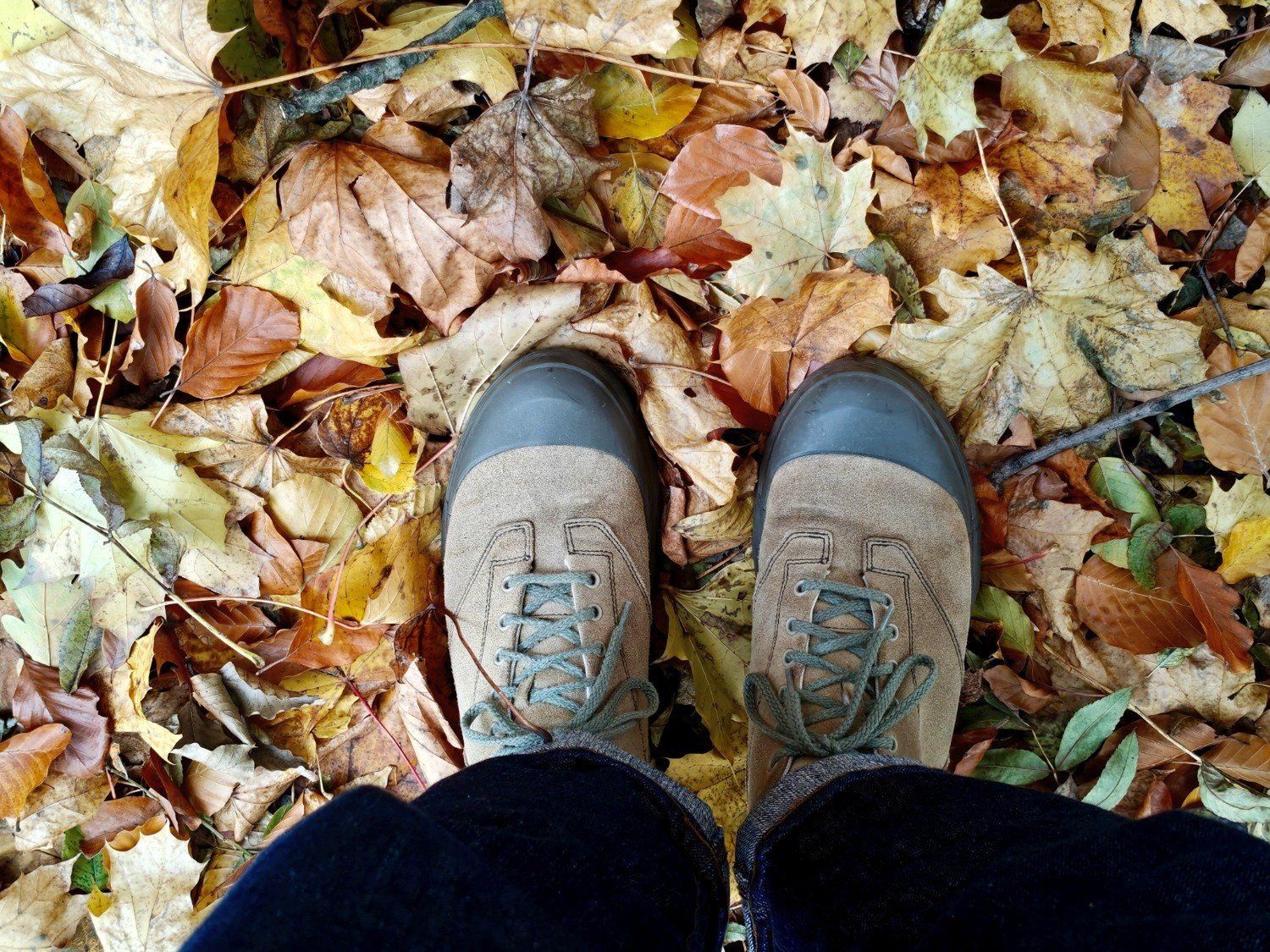 Przewijaj w dół, aby przejść do następnych zdjęć!