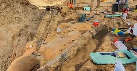 Wyjątkowe odkrycie z czasów prehistorii. Ten gatunek żył na terenach dzisiejszej Polski