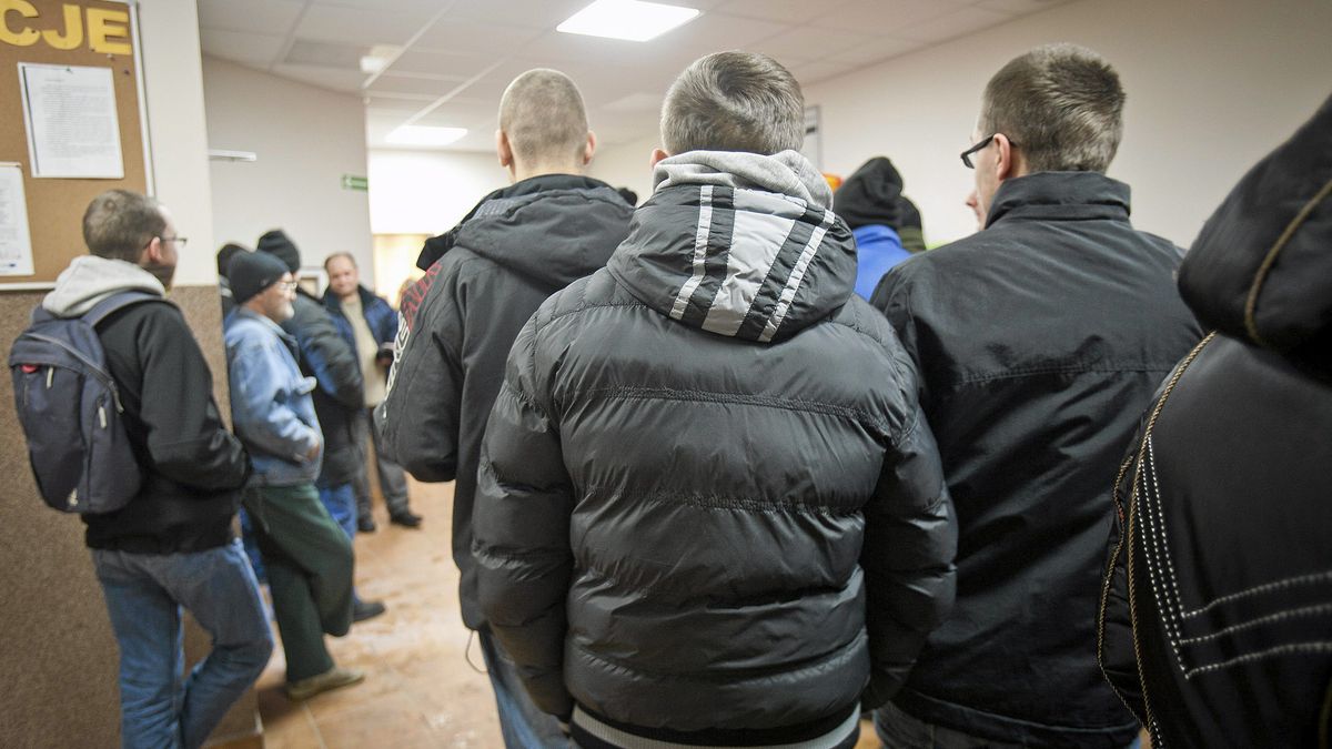 W listopadzie zarejestrowano 114 tys. nowych bezrobotnych