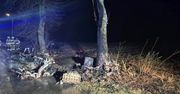 Siedlce: BMW uderzyło w drzewo i stanęło w ogniu