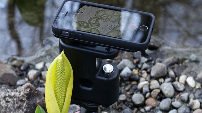 MicrobeScope. Przyroda bliżej ciebie! 1