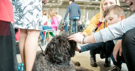 Sprostowanie do artykułu: "Byłeś na wystawie zoologicznej? Sprawdź, czy Twoje dziecko nie ma pcheł"