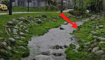 Ujęcia z Zakopanego. "Bardzo rzadki obrazek"
