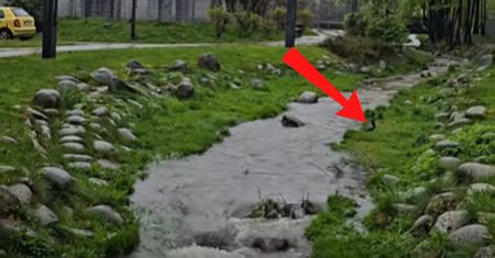 Ujęcia z Zakopanego. "Bardzo rzadki obrazek"