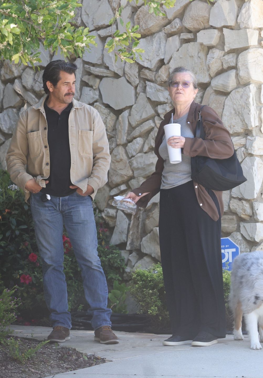 Odmieniona Bridget Fonda na spacerze z psem