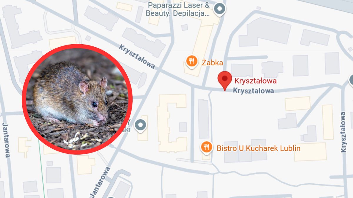 Problem dotyczy m.in. ulic Kryształowej i Cyrkoniowej w Lublinie