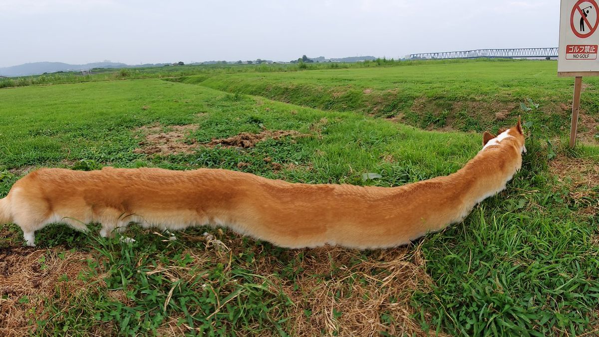 To nie photoshop. Zdjęcia są efektem trybu panoramy 1