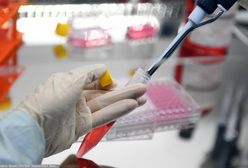 Omikron w Polsce. Kolejny przypadek u dziecka