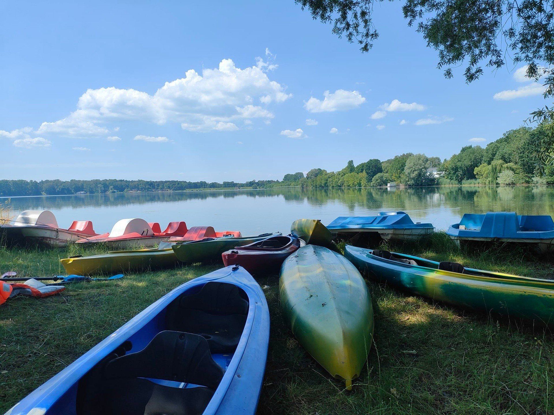 Tajemnicza plaża w lesie pod Gliwicami? Zobaczcie