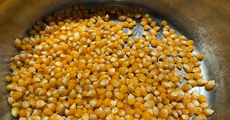 Nie tylko popcorn! Co jeszcze można zrobić z ziaren kukurydzy i czemu warto?