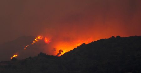Cypr. Płoną lasy u podnóża Troodos. "Najgorszy pożar w historii"