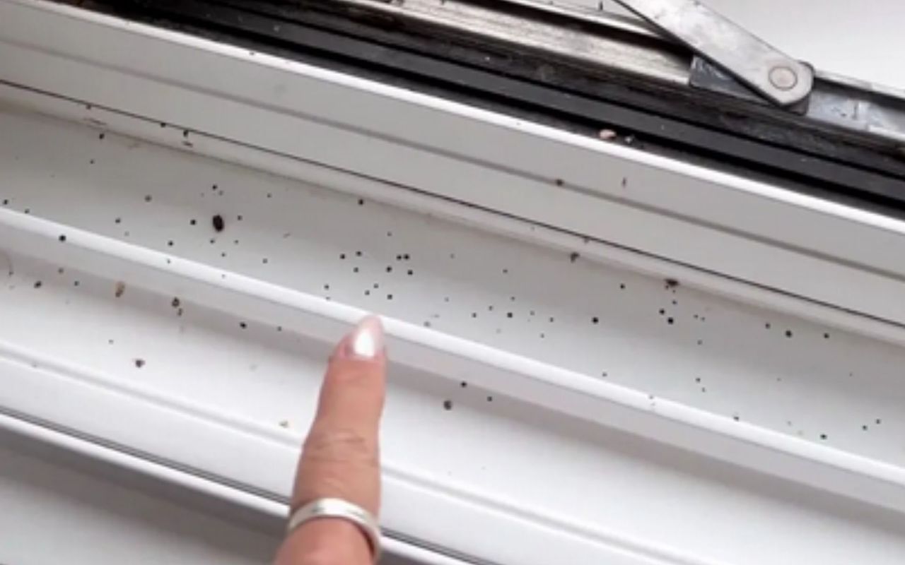 Influencerka radzi, jak usunąć czarne kropki z okien