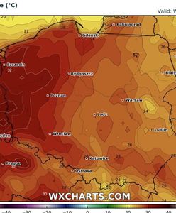 Wyż Normen nad Polską. Na termometrach nawet 33 st. C