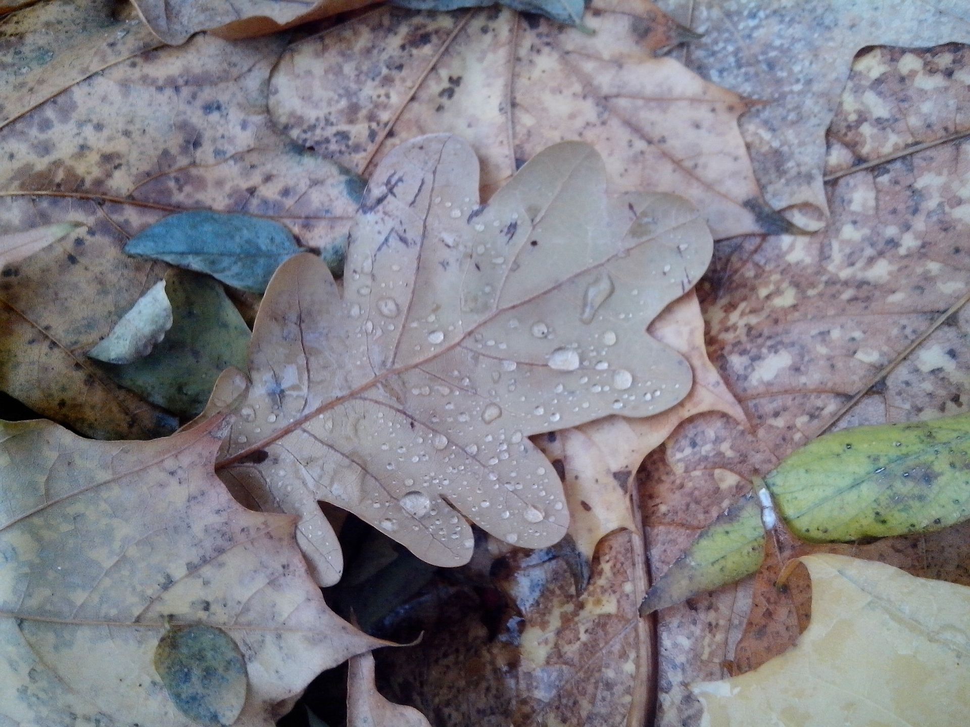 Prestigio Multiphone PAP4300 DUO - test 9