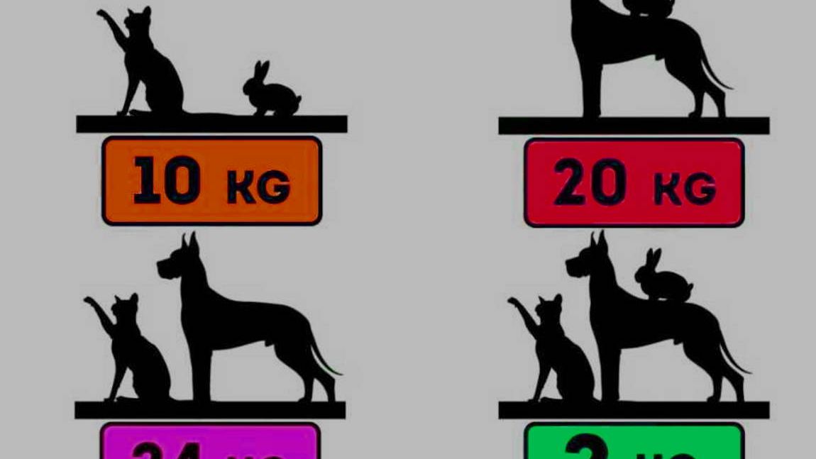 Tylko 2 proc. potrafi rozwiązać tę zagadkę matematyczną w 6 sekund