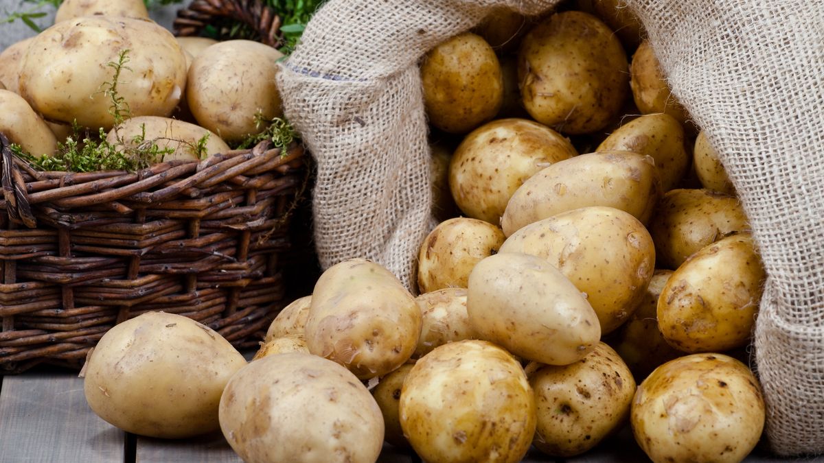 Przechowywanie ziemniaków w zimie