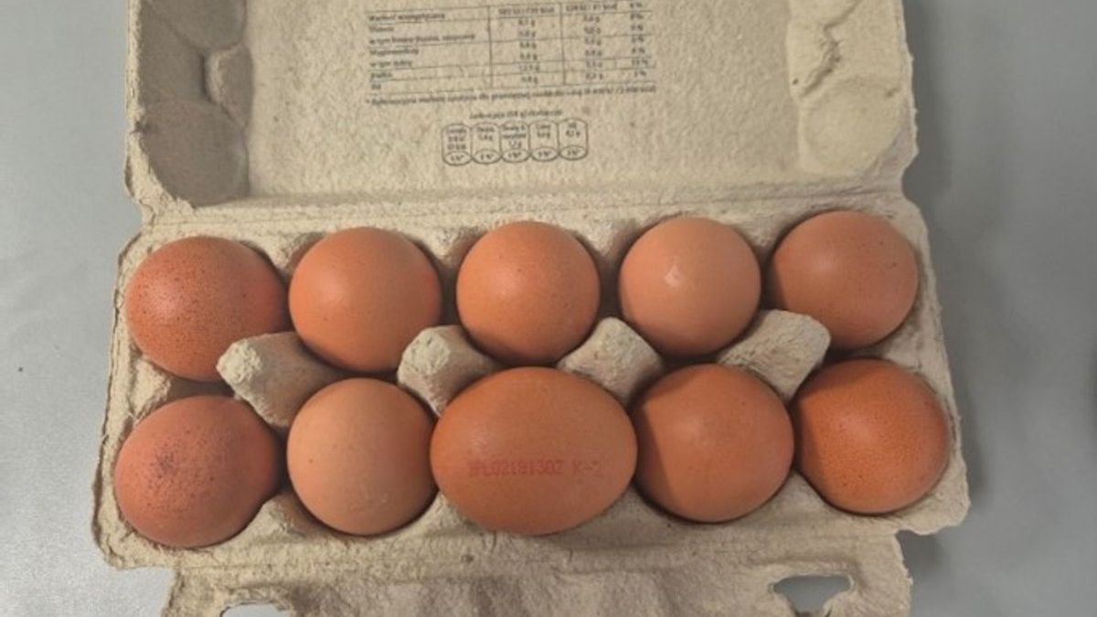 Salmonella na powierzchni skorupek jaj. GIS wydał pilne ostrzeżenie
