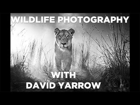 David Yarrow tworzy czarno-białe opowieści o zwierzętach