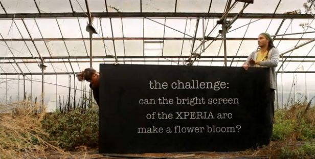 Ekran Xperii arc tak jasny, że aż kwiaty rosną?